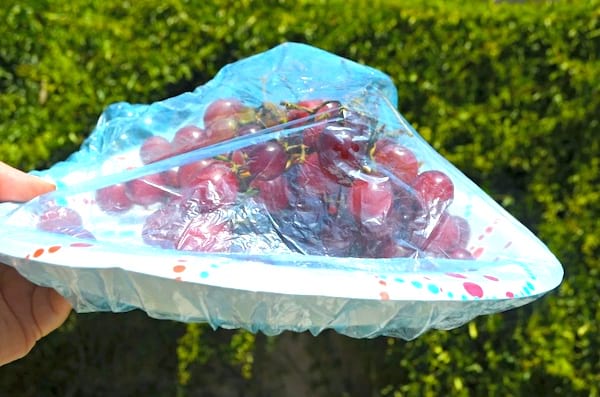 Astuce camping : un bonnet de douche pour protéger une assiette de raisin des insectes.