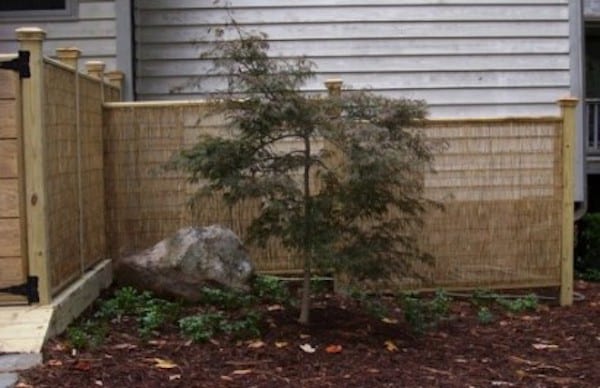 Poubelle extérieure cachée derrière une clôture avec un arbre 