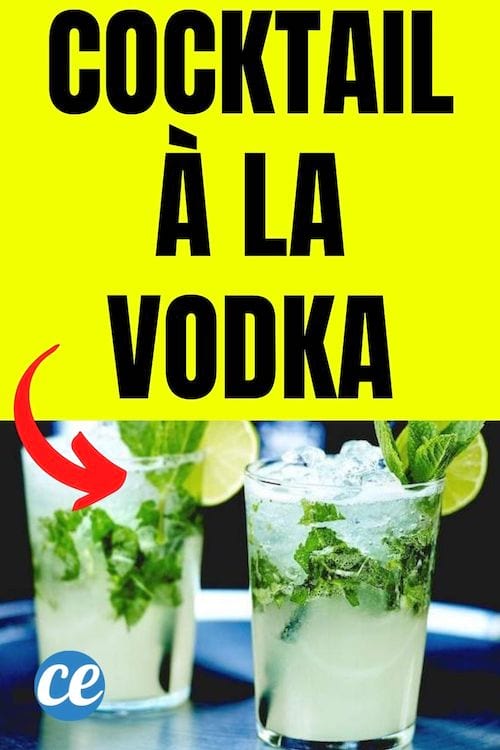 recette de cocktail à la vodka