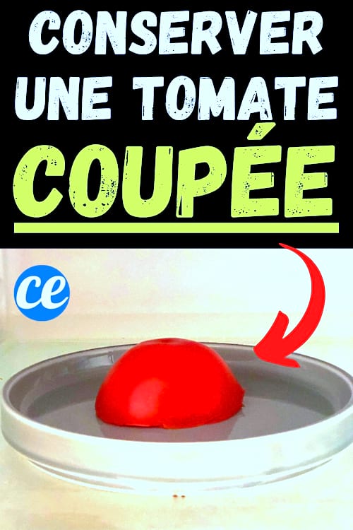 une moitié de tomate posée sur une assiette dans le frigo