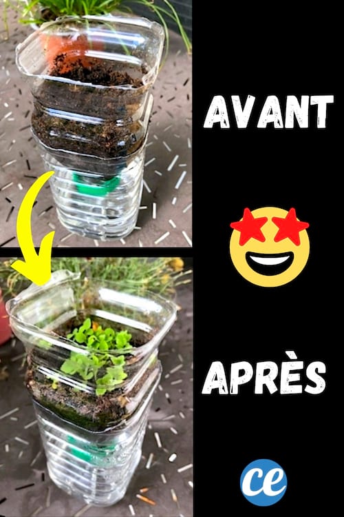 Un arrosage automatique fabriqué avec une bouteille en plastique