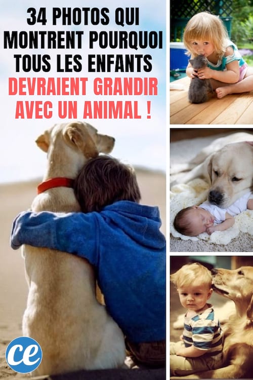 34 photos qui montrent pour les enfants devraient grandir avec un animal de compagnie