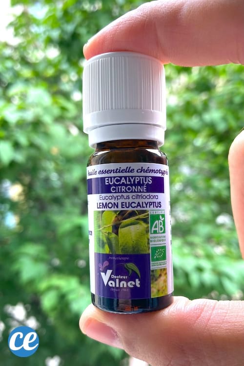 Utilisez l'huile essentielle d'eucalyptus citronné comme répulsif anti moustique bio.