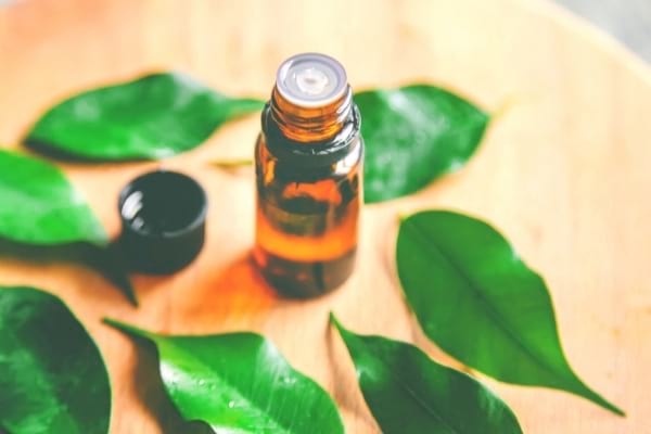 De l'huile essentielle de tea tree à appliquer contre les boutons fessier