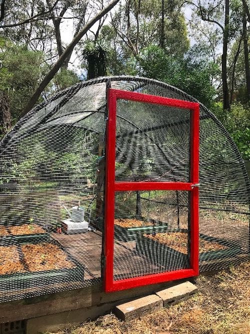 Trampoline transformé en anti-parasites avec une porte rouge 