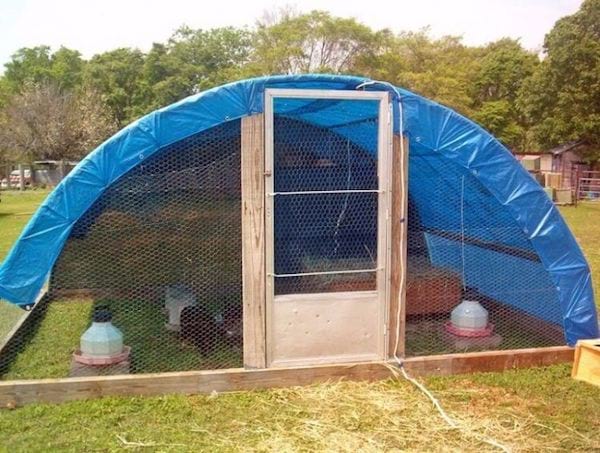 Trampoline transformé en espace pour les poules avec une bâche bleue