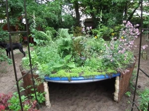 Trampoline transformé en endroit fleuri pour les plantes