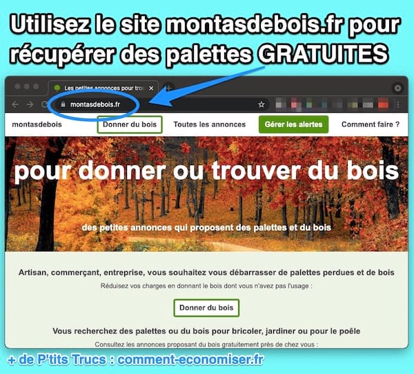 The website montasdebois.fr to find free wooden pallets.