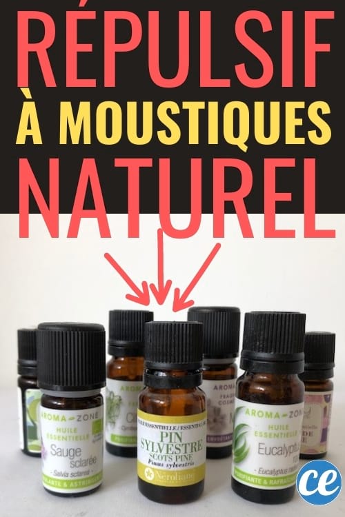 recette huile anti-moustiques naturelle maison