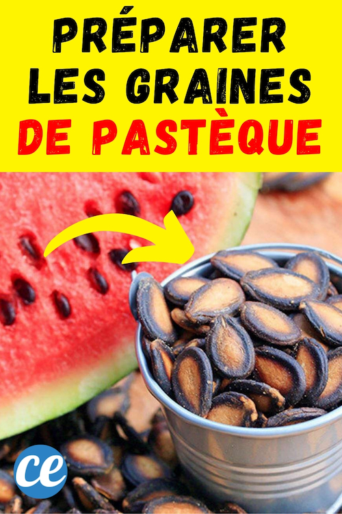 Graines de Pastèque Comment les Préparer et Profiter de leurs Bienfaits. — free download