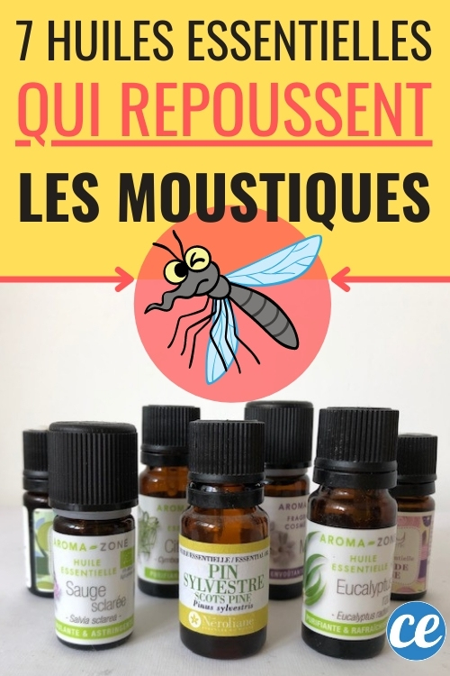 7 Huiles Essentielles Anti Moustiques à Mettre Durgence Dans Votre Diffuseur 