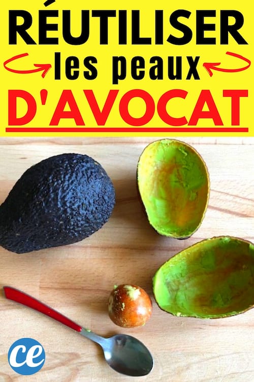 Un avocat posé sur la table en bois avec le noyau et sa peau pour l'utiliser sur la peau