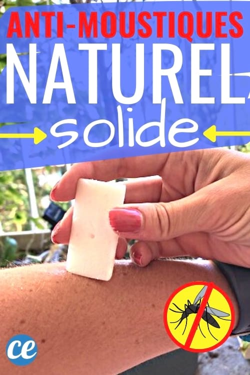 anti-moustique diy à la citronnelle