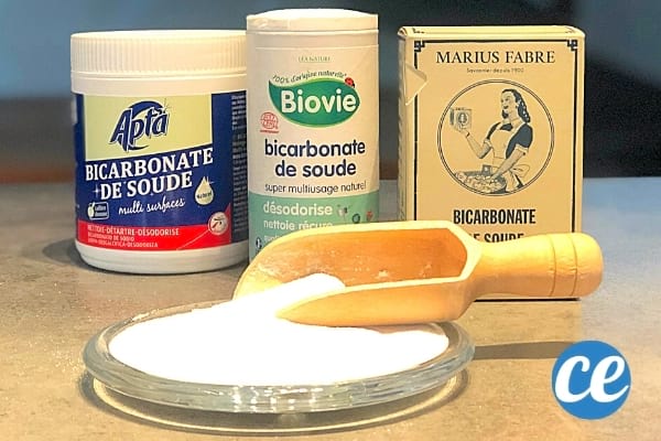 Du bicarbonate mélangé avec du sucre comme piège à poisson d'argent