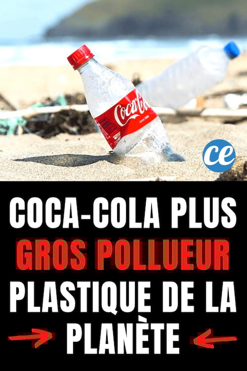des bouteilles de Coca Cola le plus gros pollueur plastique de la planète