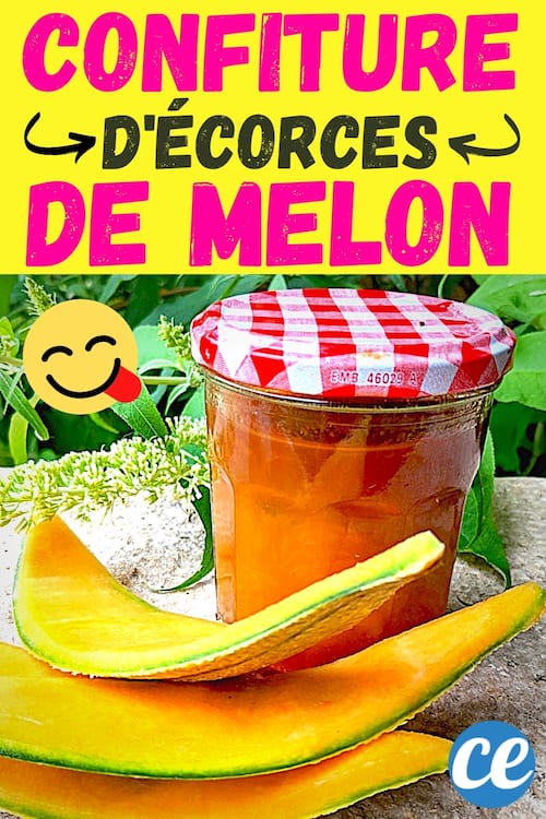 peau de melon et pot de confiture de melon charentais