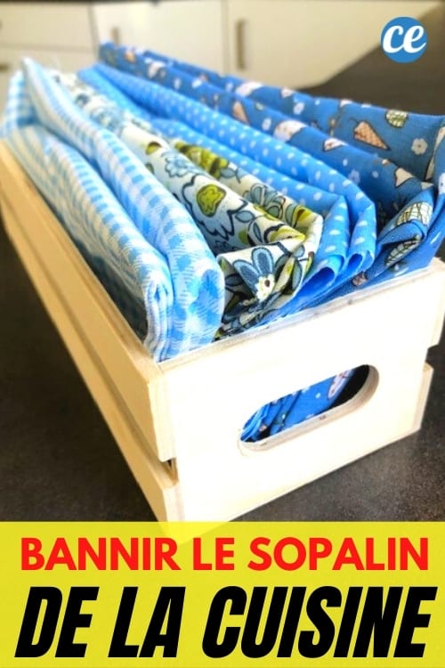 corbeille avec serviettes bleues