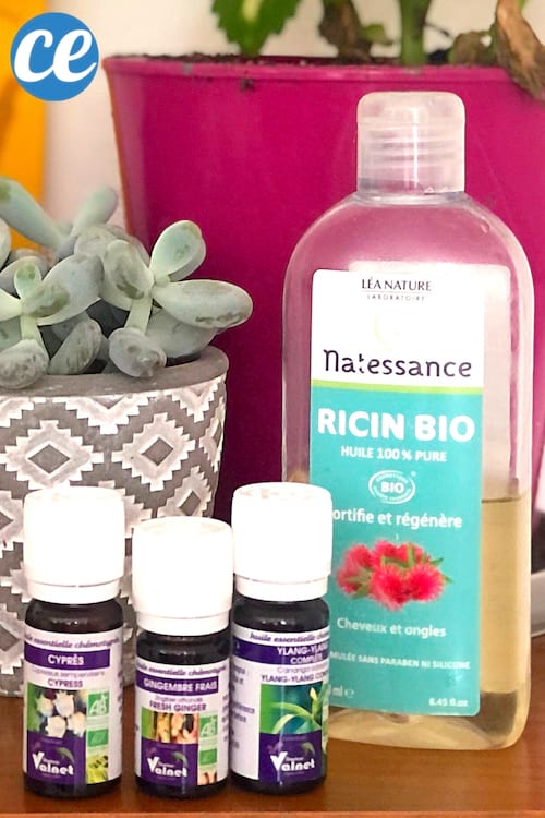 De l'huile de ricin et des huiles essentielles pour faire un soin de massage contre la chute des cheveux