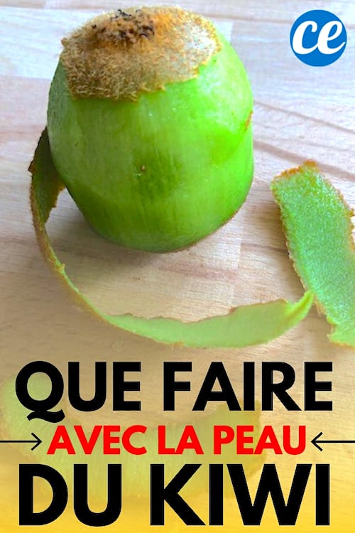 Un kiwi épluché pour l'utiliser au quotidien