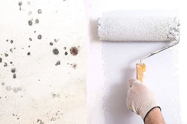 Utilisez une peinture anti-moisissure dans la salle de bain