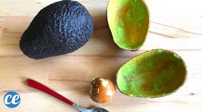 Avocat : bienfaits pour la santé et la peau, recettes