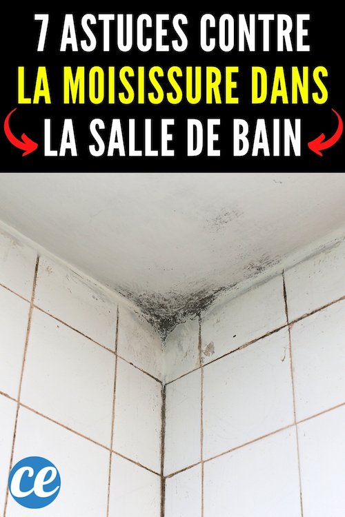 Moisissures Salle de Bain 7 Astuces Nettoyage (Pour les Supprimer Facilement).