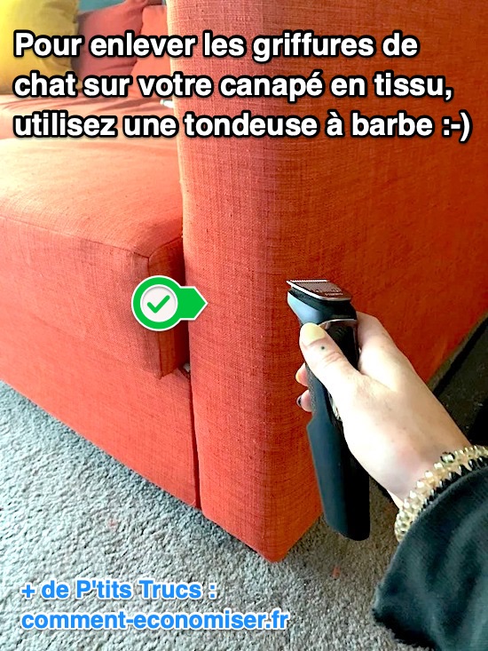 L'Astuce Pour Enlever les Griffures de Chat sur un Canapé en Tissu.