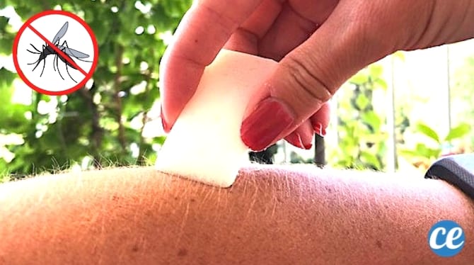 Une main qui applique le stick anti moustique fait maison aux huiles essentielles