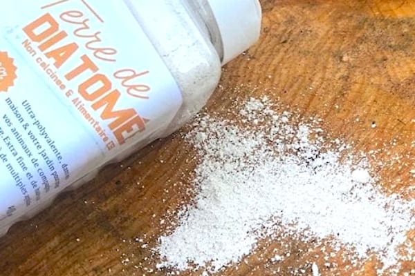 De la terre de diatomée contre les poissons d'argent à la maison
