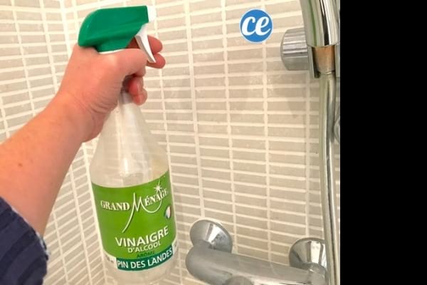 Un spray de vinaigre blanc contre la moisissure dans la salle de bain