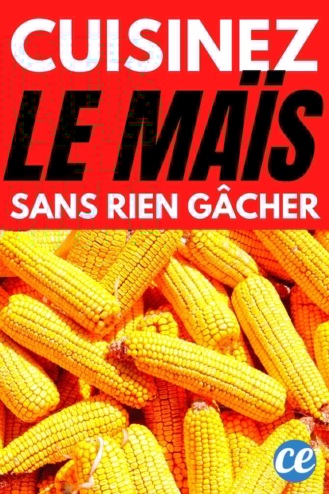 cuisinez le maïs sans rien gâcher