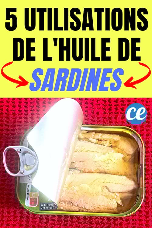 Une boite de sardines à l'huile ouverte pour être utiliser dans les recette anti gaspi