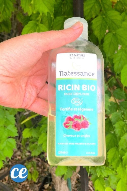 de l'huile de ricin pour lisser les cheveux