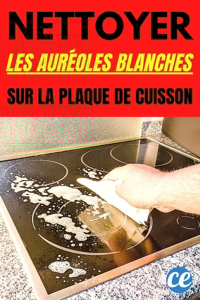 nettoyage plaque induction avec éponge et eau savonneuse