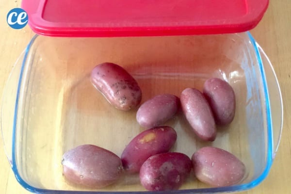 Des pommes de terre cuites dans un plat de conservation à fermeture hermétique