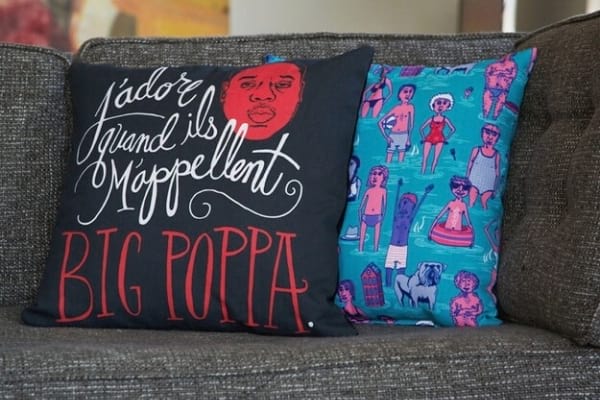 Deux coussins décoratifs posés sur le canapé