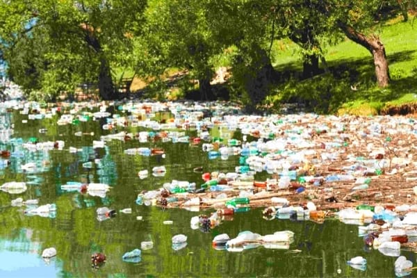 Des bouteilles plastiques qui polluent une rivière en france