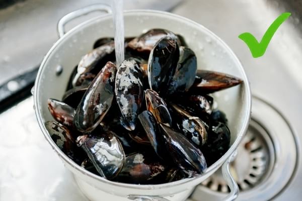 Des moules qui sont lavées sous le robinet avant d'être mangées