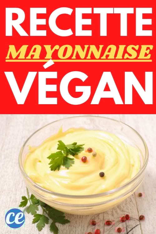 recette mayonnaise sans oeufs facile et sans pois chiche