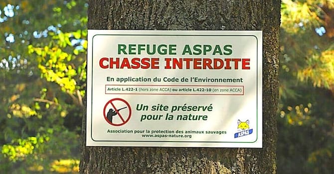 Panneau contre la chasse sur le terrain