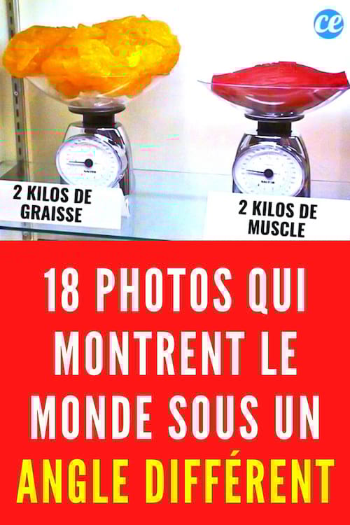 Une photo de graisse du corps humaine et une photo de muscle en comparaison
