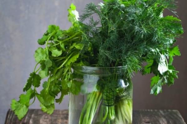 Plantes aromatiques dans un bocal en verre remplis d'eau