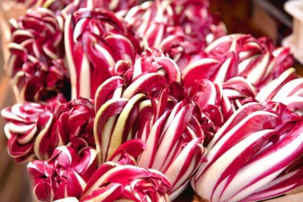 que planter en automne comme légumes