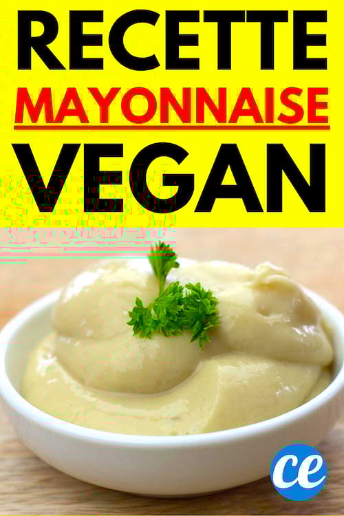 recette mayonnaise sans oeufs facile et sans pois chiche