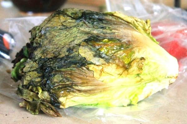 Une salade qui a pourri dans le frigo