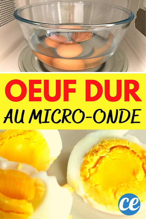 Comment Faire Cuire Des Oeufs Durs Au Micro Ondes En Min Chrono