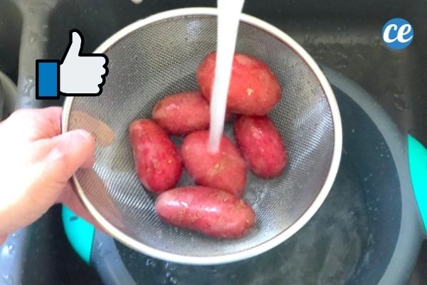 des pommes de terre coupées en morceaux