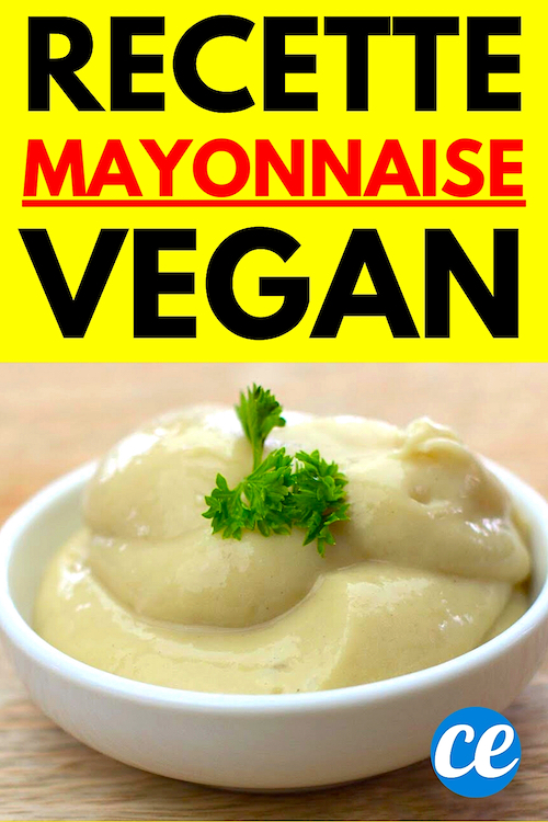 Faites VousMême Votre Mayonnaise Vegan en 3 Min (Délicieuse & Sans Oeuf).