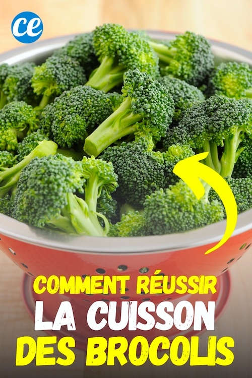 Comment Réussir la Cuisson des Brocolis ? 5 Méthodes Faciles.