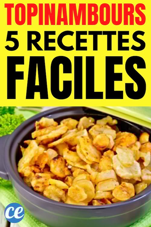 Topinambour : 5 Recettes de Saison Pour le Cuisiner Facilement.